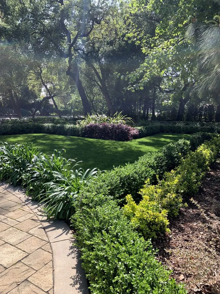 Local landscaping services in Los Angeles, CA - Virgo Brothers Landscape