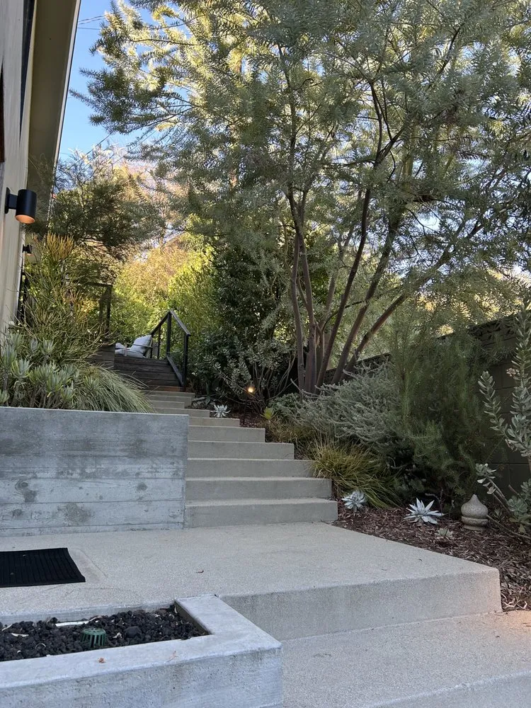 Local yard cleanup service experts serving Los Angeles, CA - Virgo Brothers Landscape