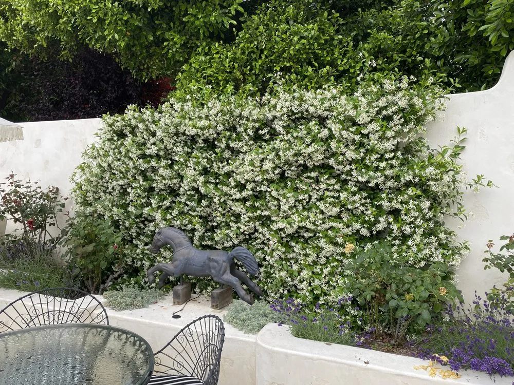 Trusted residential landscaping in Los Angeles, CA - Virgo Brothers Landscape