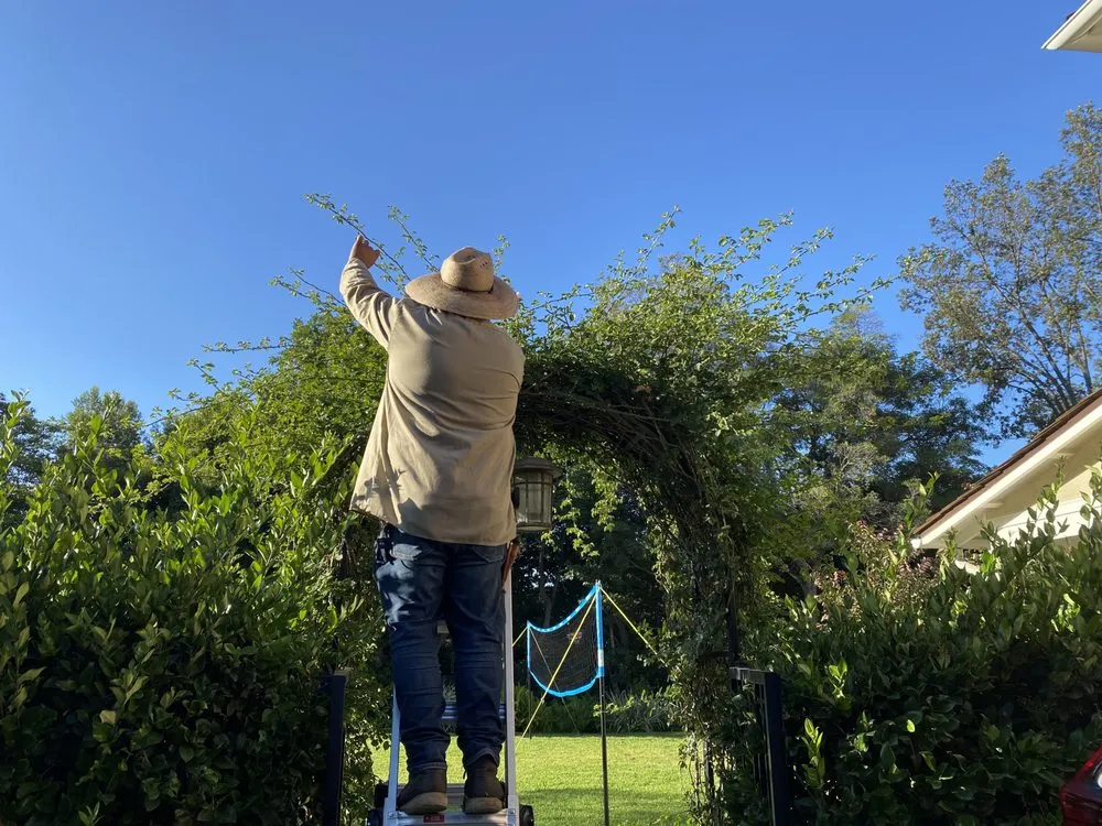 Expert residential landscaping in Los Angeles, CA by Virgo Brothers Landscape