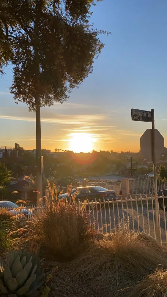 Trusted landscape installation for year-round maintenance in Los Angeles, CA by Virgo Brothers Landscape