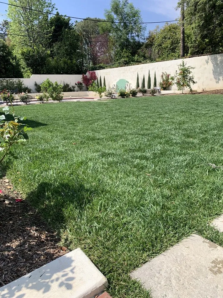 Custom landscape installation in Los Angeles, CA - Virgo Brothers Landscape