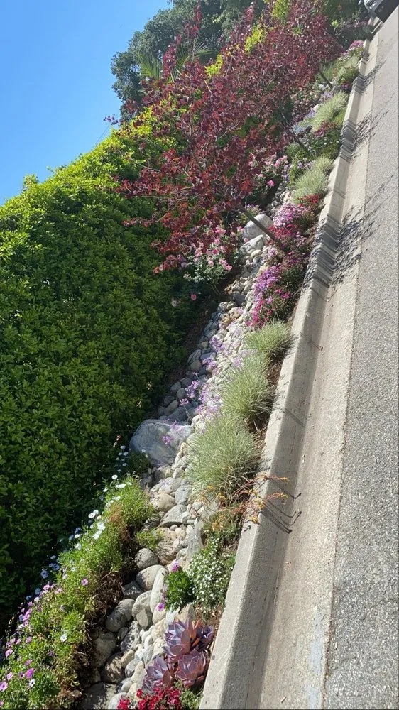 Top-rated lawn mowing service in Los Angeles, CA - Virgo Brothers Landscape