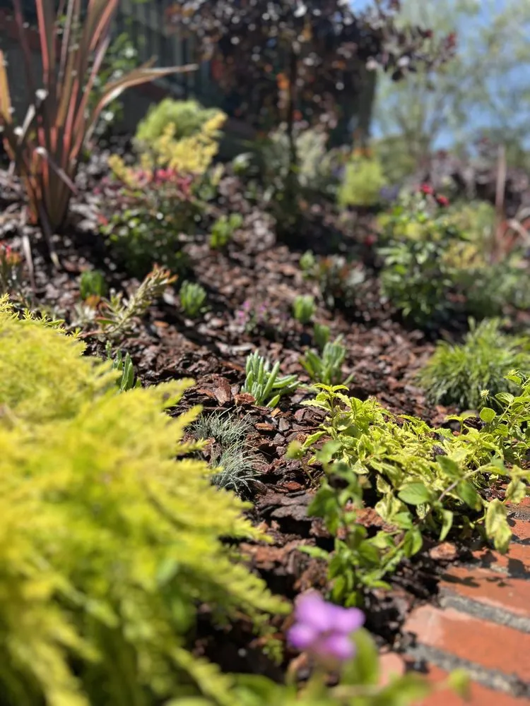 Top-rated landscape design for year-round maintenance in Beverly Hills, CA by Virgo Designs And Landscaping