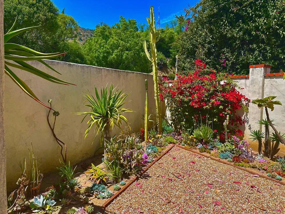 Professional landscape design in Beverly Hills, CA by Virgo Designs And Landscaping