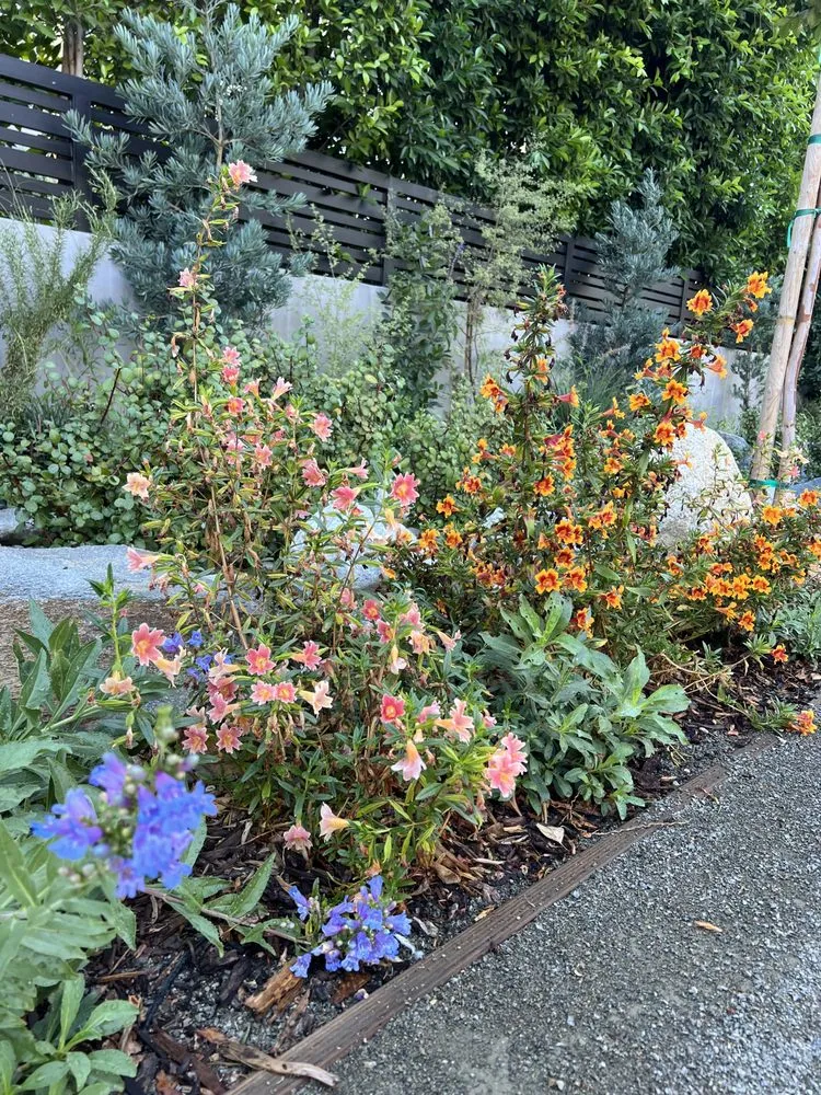 Custom landscape installation in Beverly Hills, CA - Virgo Designs And Landscaping