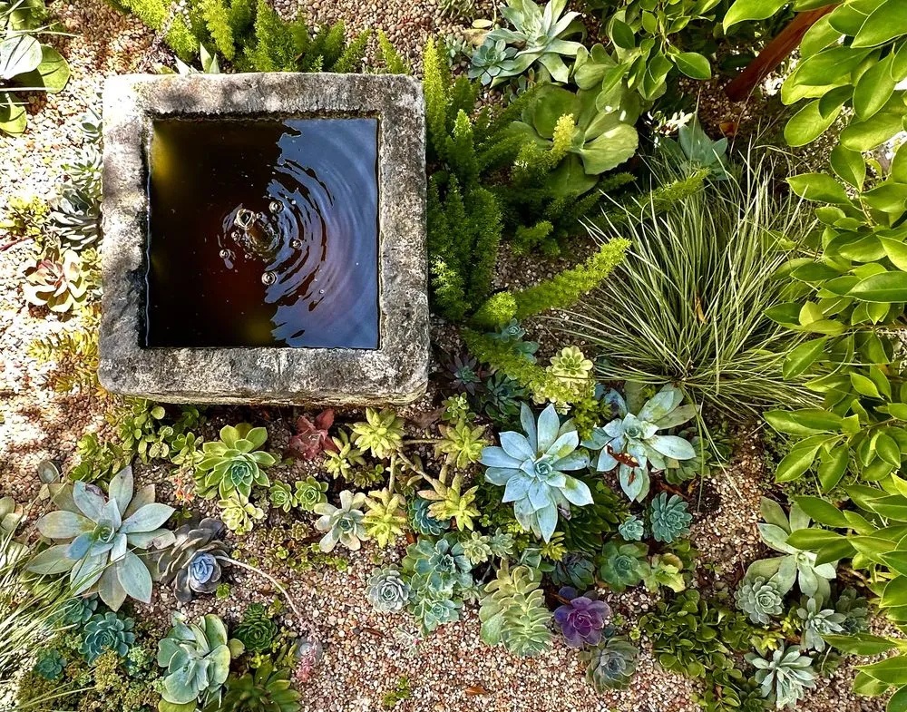 Top-rated yard cleanup service experts serving Beverly Hills, CA - Virgo Designs And Landscaping