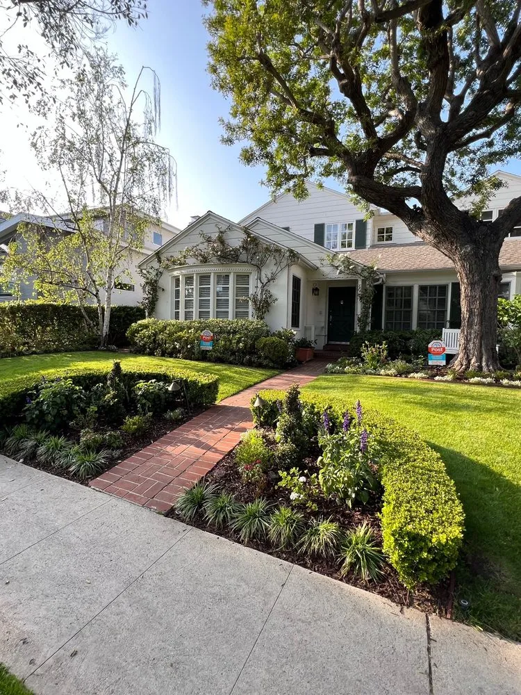 Professional yard cleanup service in Beverly Hills, CA - Virgo Designs And Landscaping