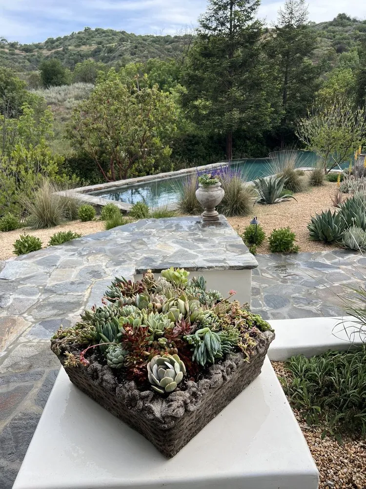 Affordable lawn care service in Beverly Hills, CA - Virgo Designs And Landscaping