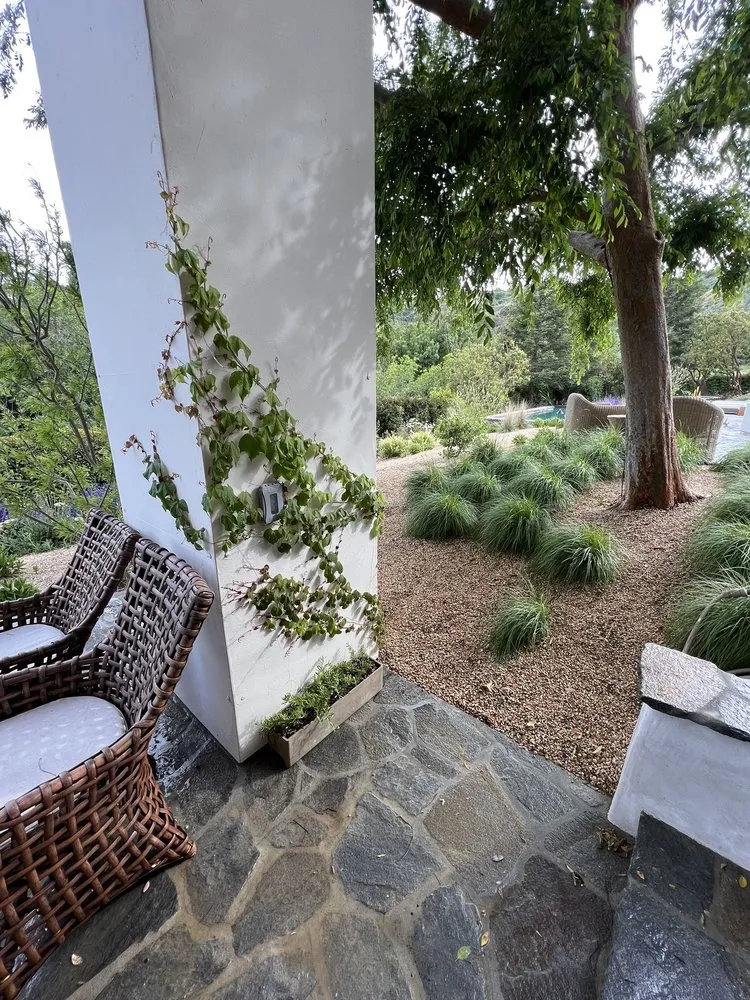 Reliable residential landscaping for residential properties in Beverly Hills, CA by Virgo Designs And Landscaping