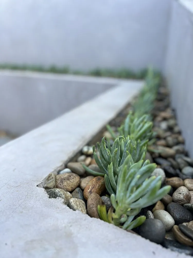 Affordable lawn mowing service in Beverly Hills, CA by Virgo Designs And Landscaping