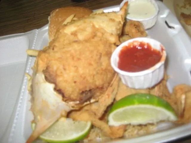 Affordable outdoor landscaping for outdoor upgrades in Beverly Hills, CA by Virgo Designs And Landscaping