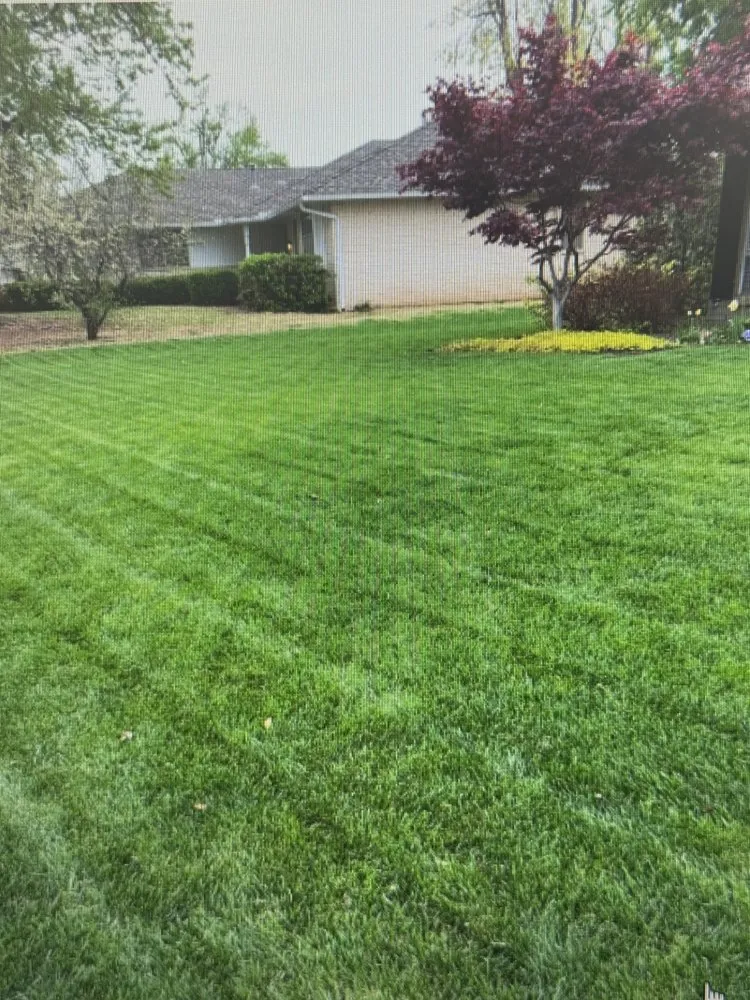 Trusted landscaping services for outdoor upgrades in Detroit, MI by Virgo Lawn Care