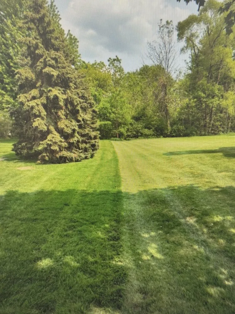 Expert garden landscaping in Detroit, MI by Virgo Lawn Care