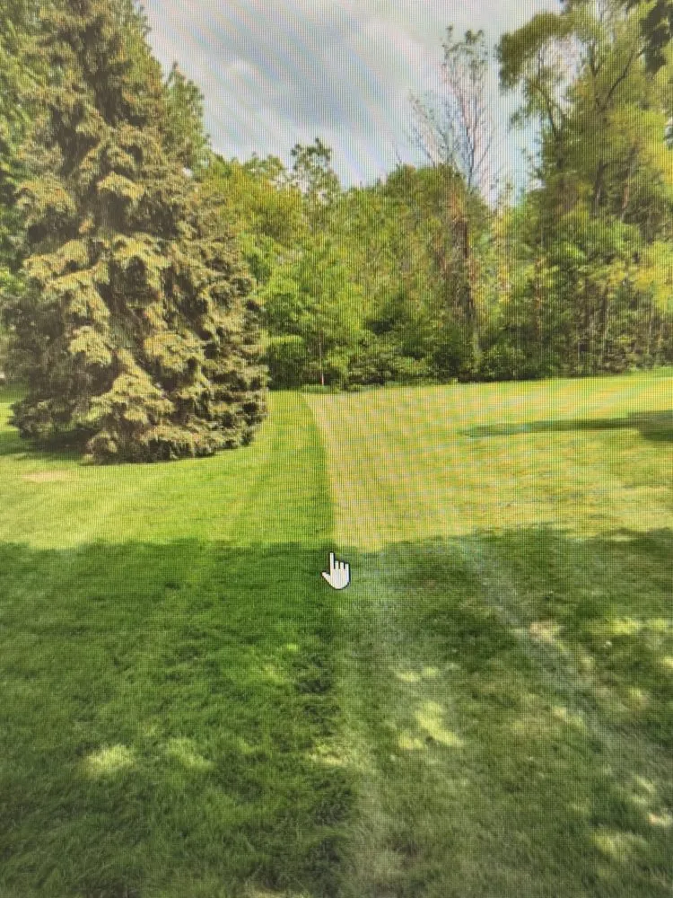 Top-rated yard maintenance in Detroit, MI by Virgo Lawn Care