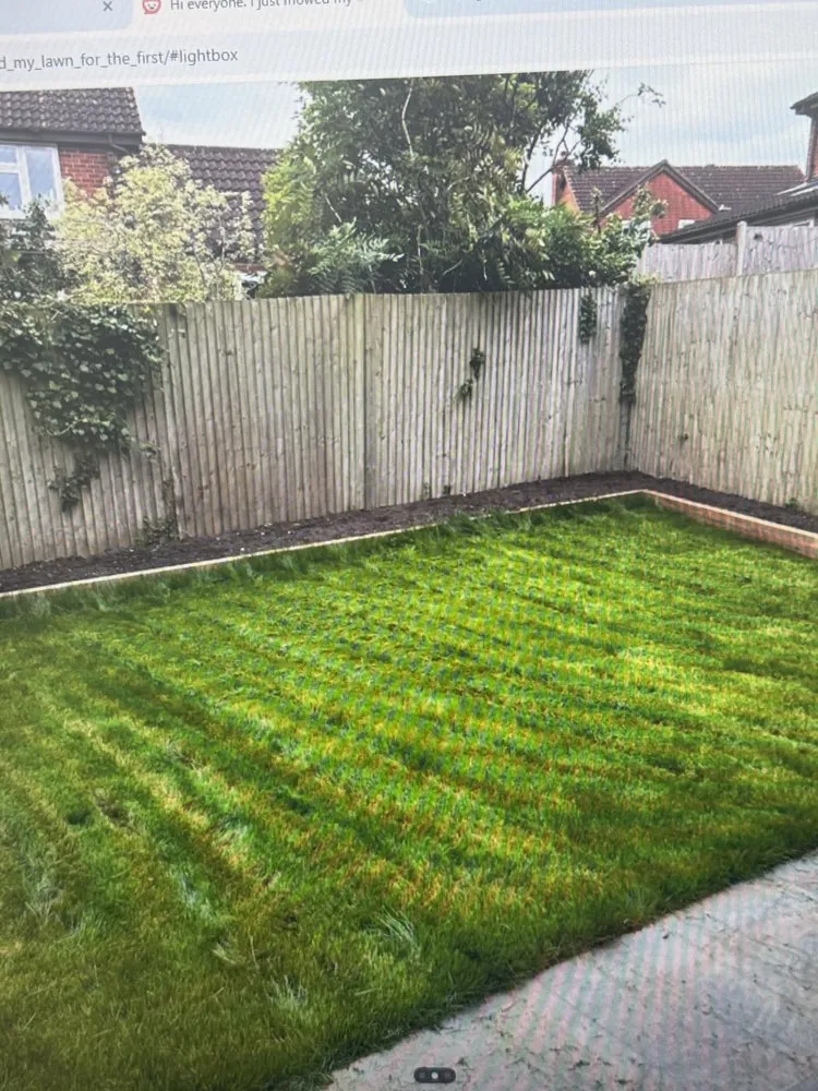 Local residential landscaping in Detroit, MI by Virgo Lawn Care