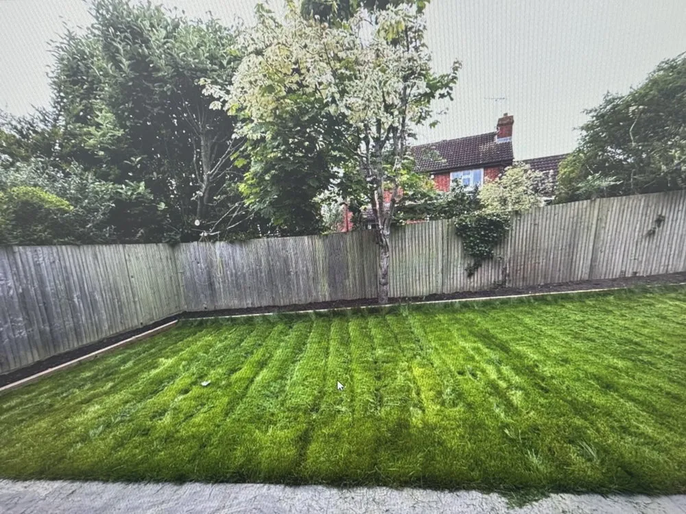 Custom lawn mowing service for year-round maintenance across Detroit, MI - Virgo Lawn Care