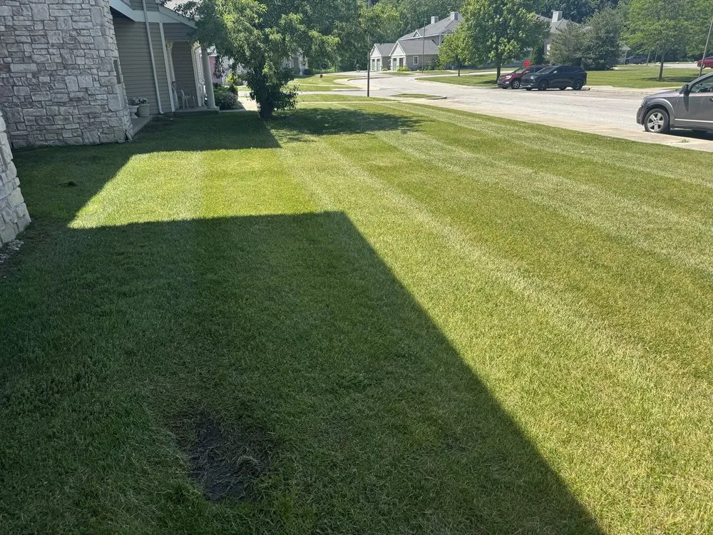 Trusted outdoor landscaping in Detroit, MI by Virgo Lawn Care