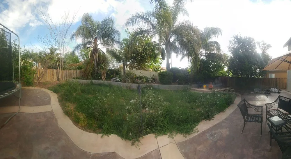 Affordable residential landscaping in Patterson, CA by Viride Garden