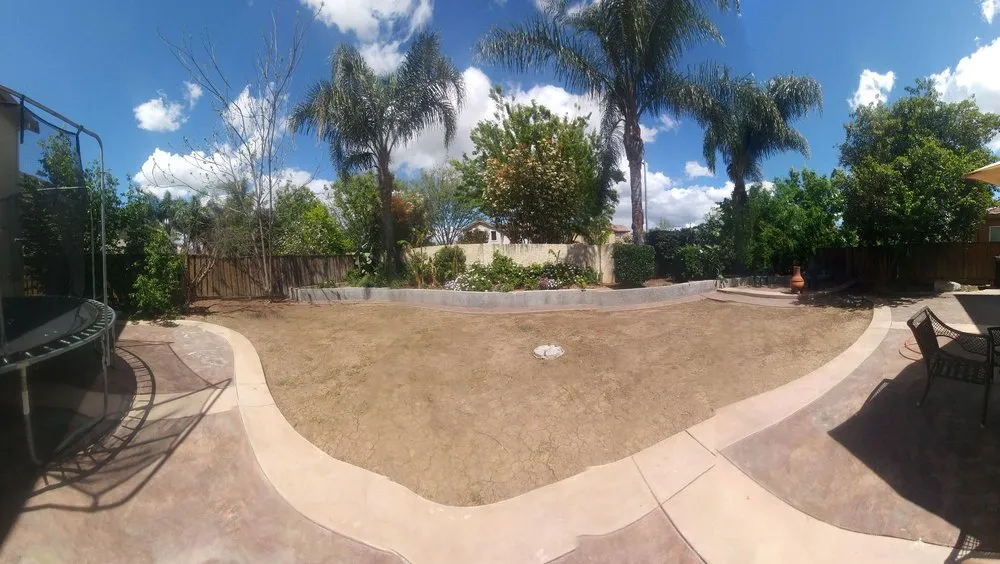 Trusted yard maintenance for beautiful yards in Patterson, CA by Viride Garden