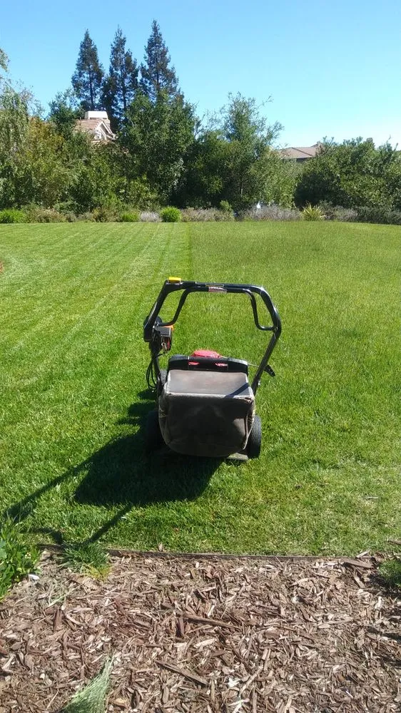 Reliable yard cleanup service near you in Patterson, CA by Viride Garden