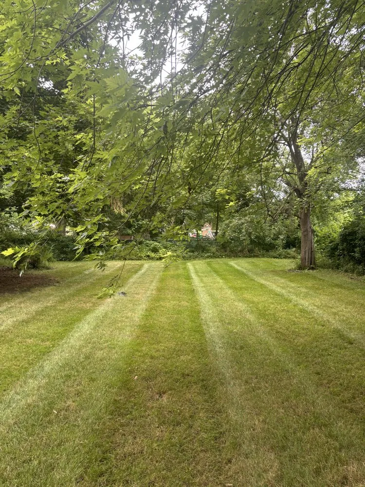 Trusted yard cleanup service with custom design across Kenosha, WI - Viridescent Visions