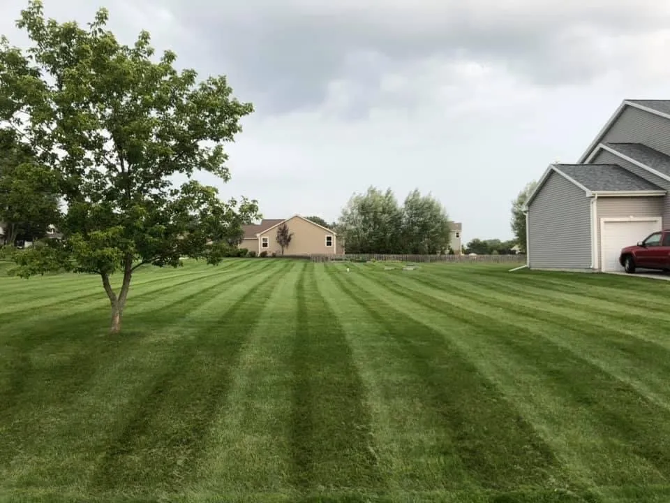 Reliable yard maintenance experts serving Kenosha, WI - Viridescent Visions