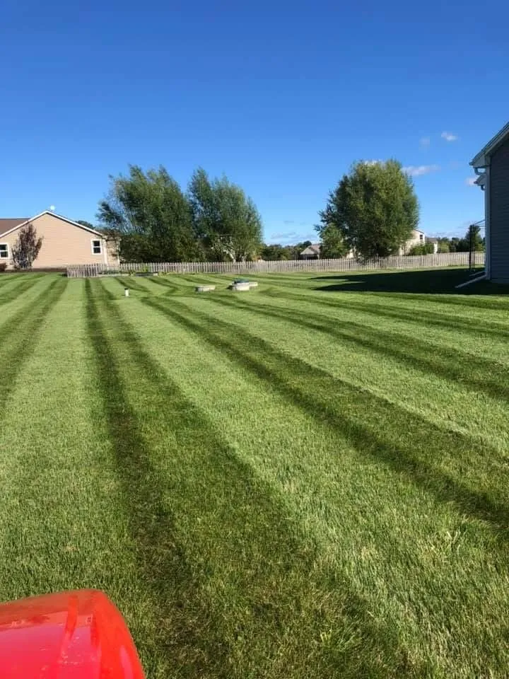 Expert yard maintenance in Kenosha, WI - Viridescent Visions