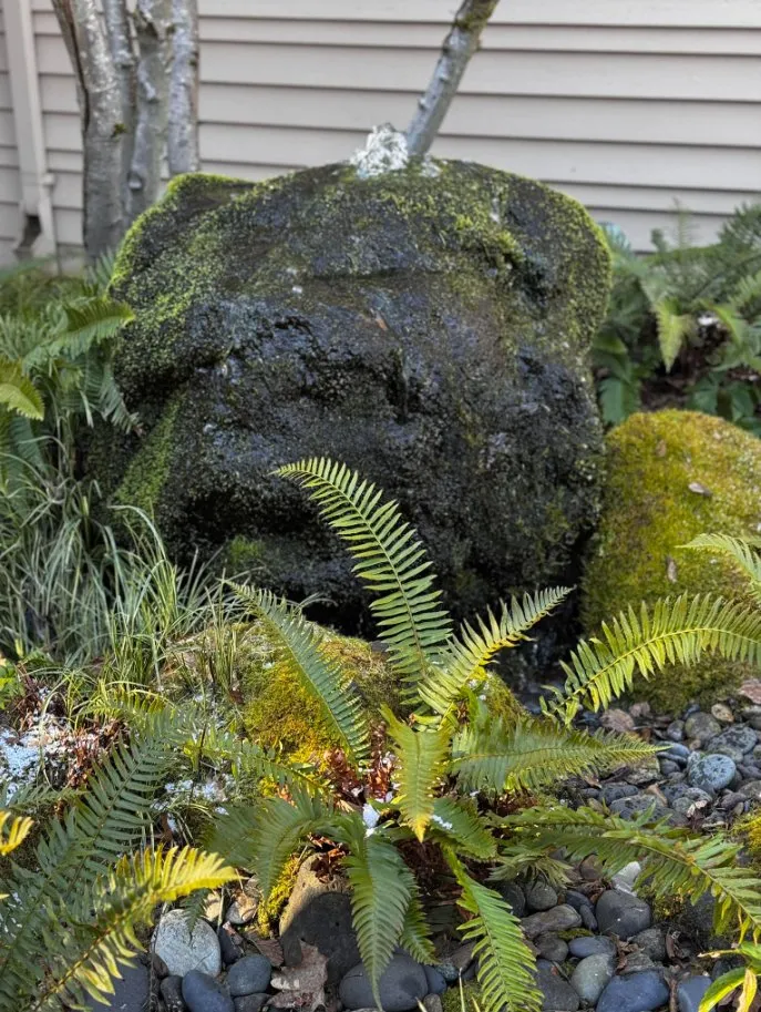 Custom yard maintenance near you across Clackamas, OR - Viridian Landscaping