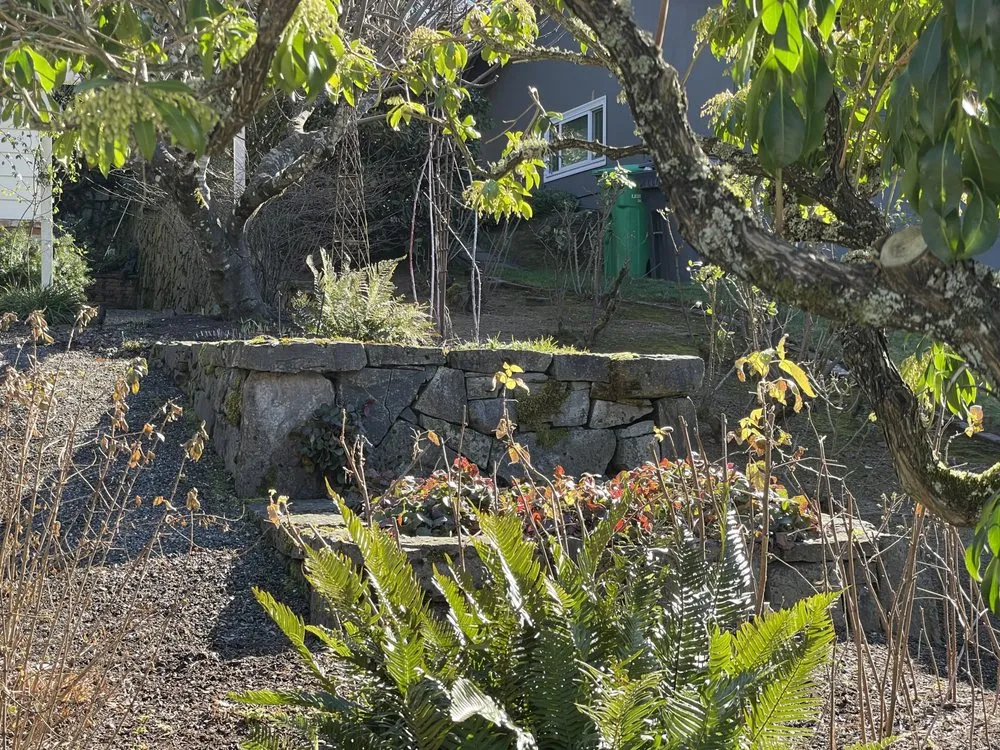 Expert yard maintenance for residential properties in Clackamas, OR by Viridian Landscaping