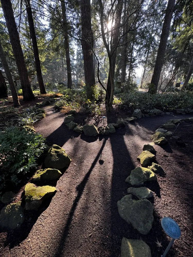 Reliable landscaping services for outdoor upgrades across Clackamas, OR - Viridian Landscaping