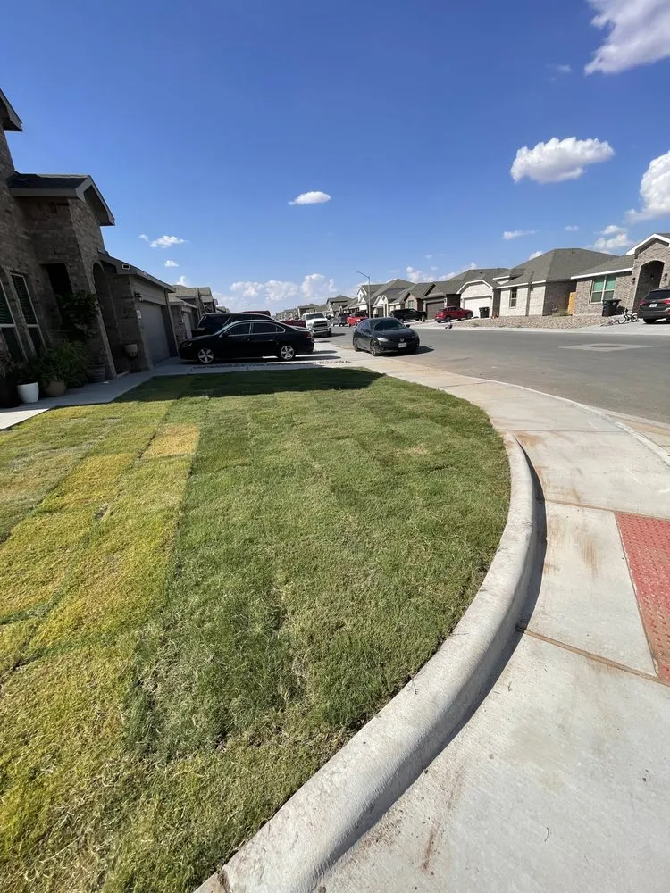 Affordable landscaping services in Odessa, TX - Viridis Landscaping Services