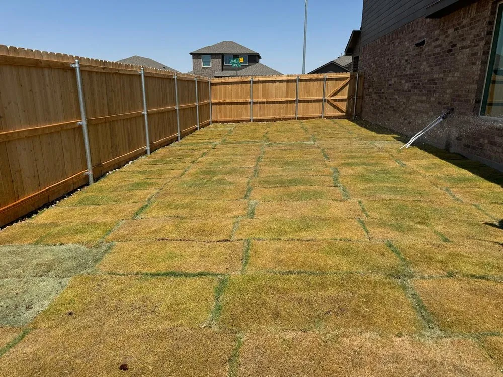 Professional landscape installation in Odessa, TX by Viridis Landscaping Services