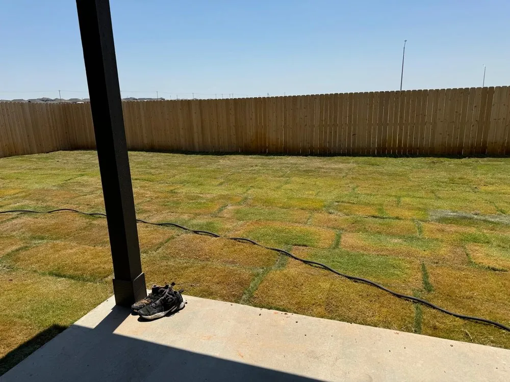 Expert yard cleanup service in Odessa, TX - Viridis Landscaping Services