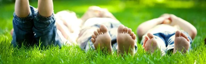 Top-rated outdoor landscaping for year-round maintenance across Saratoga Springs, UT - Viridis Lawn and Pest