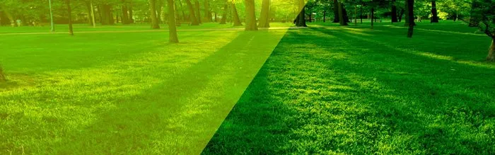 Reliable landscaping services for beautiful yards across Saratoga Springs, UT - Viridis Lawn and Pest