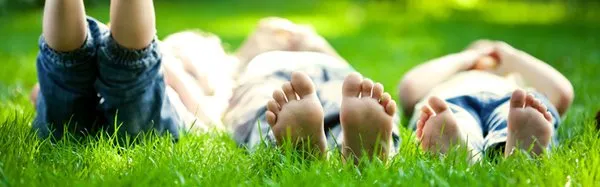 Viridis Lawn and Pest Logo