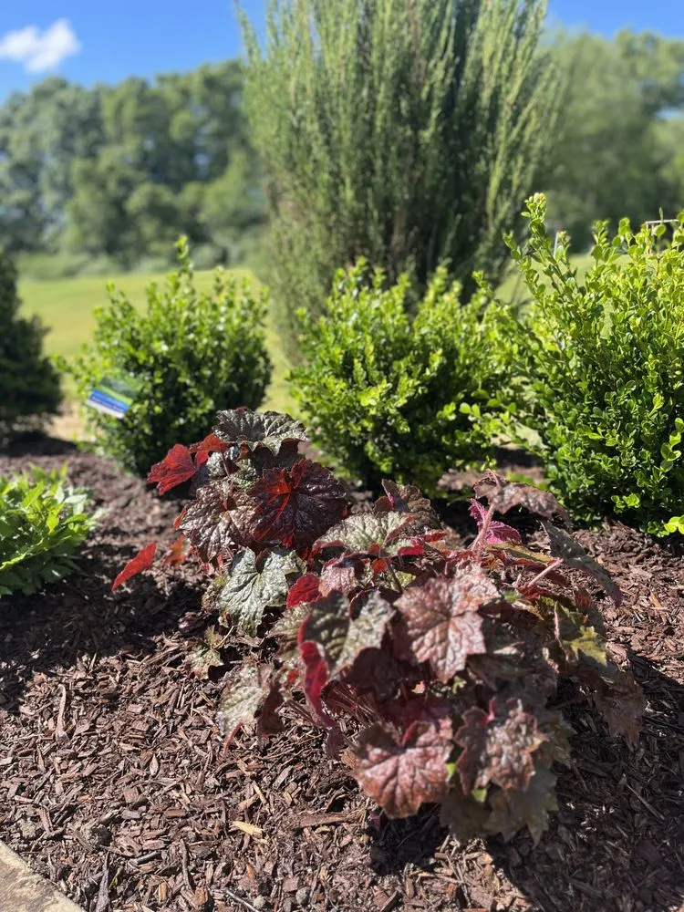 Trusted landscape installation in Howell, MI by Virtue Contracting