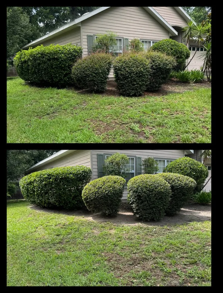Top-rated lawn care service for beautiful yards across Gainesville, FL - Virtuous Care Landscaping
