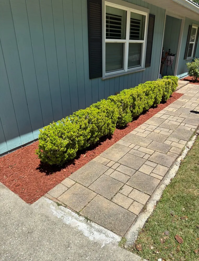 Local garden landscaping in Gainesville, FL by Virtuous Care Landscaping
