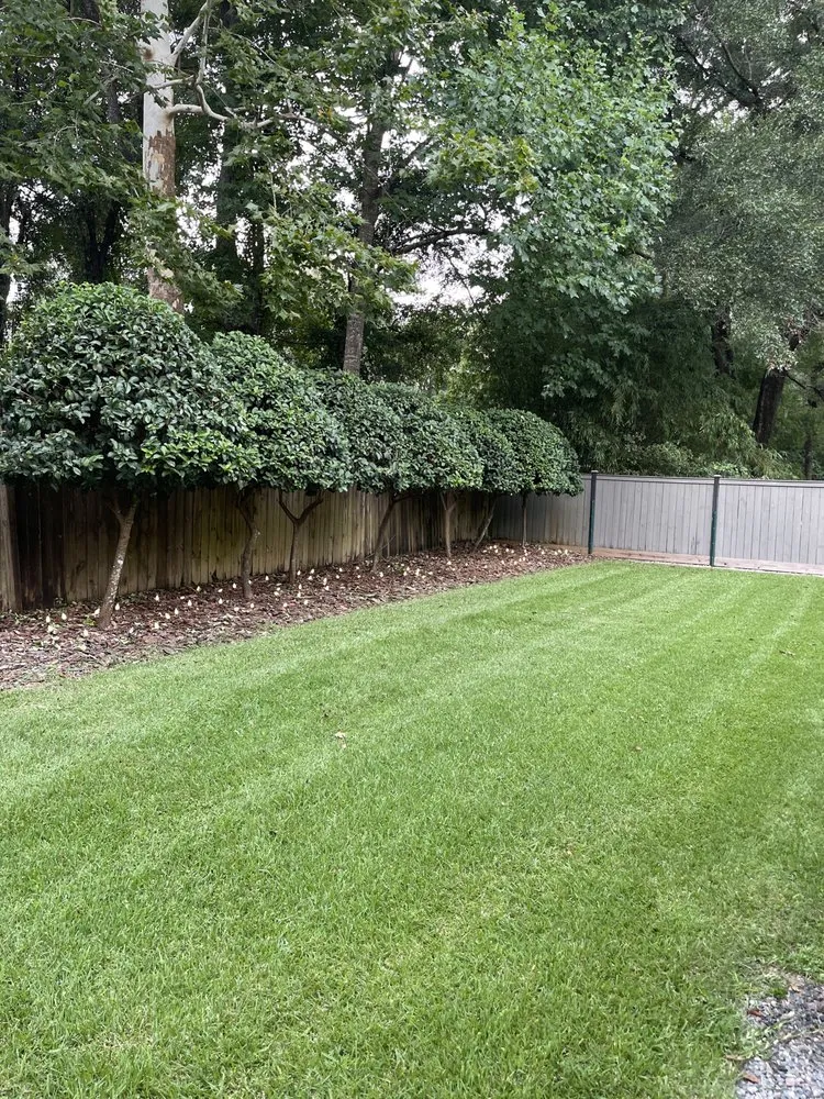 Trusted yard cleanup service in Gainesville, FL by Virtuous Care Landscaping