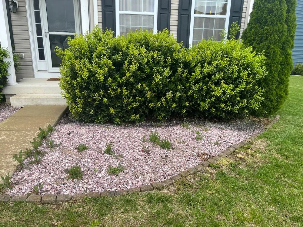 Reliable yard maintenance in Felton, DE - Virtuous Sphere Lawncare