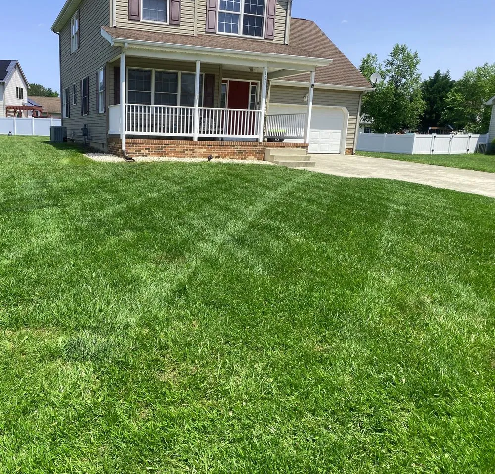 Expert yard cleanup service for homes across Felton, DE - Virtuous Sphere Lawncare
