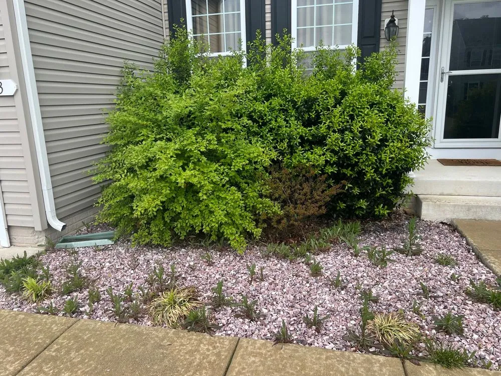 Affordable lawn mowing service near you in Felton, DE by Virtuous Sphere Lawncare