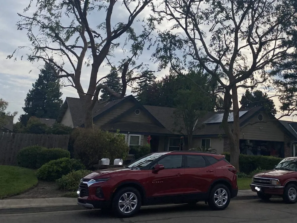 Professional landscaping services for outdoor upgrades across Visalia, CA - Visalia Landscape and Tree Company