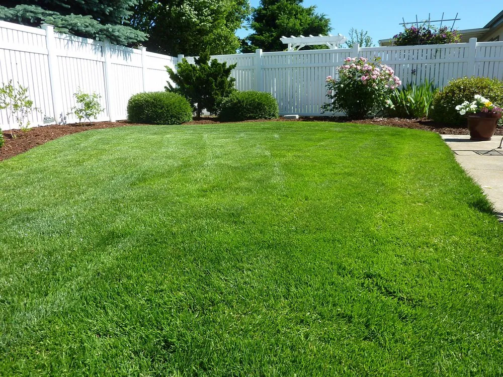Affordable residential landscaping for homes in Visalia, CA by Visalia Lawn Care Services
