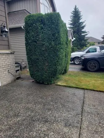 Trusted lawn care service in Everett, WA by Viscapes HD