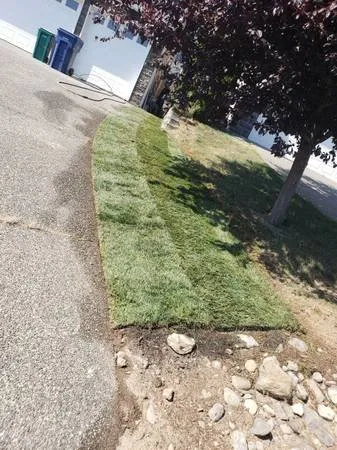 Reliable yard cleanup service for beautiful yards across Everett, WA - Viscapes HD