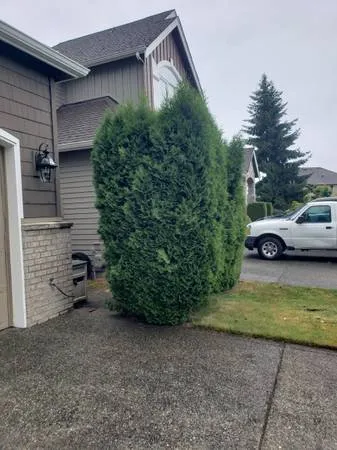 Custom lawn care service in Everett, WA - Viscapes HD