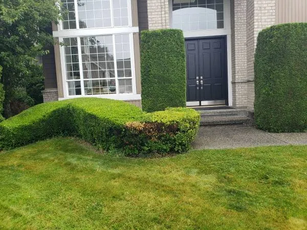 Local outdoor landscaping experts serving Everett, WA - Viscapes HD